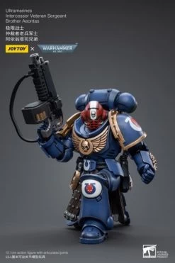 Warhammer 40k Ultramarines Intercessor Veteran Sergeant Brother Aeontas 1/18 Scale Figure -Figure Toy a2bd69e2 17fb 4195 8591 5fc429818633